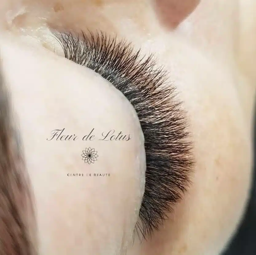 340836425_653639046600287_7730385049831073041_n